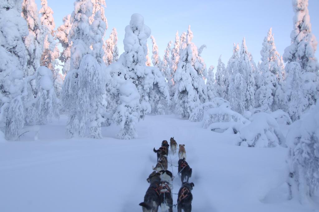 Guesthouse Husky Івало Екстер'єр фото